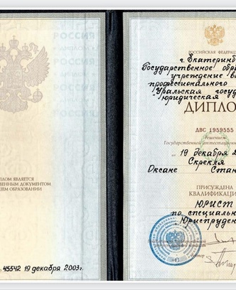 4a04b315-7a2a-4f1d-9682-32a4782fc422-изображение whatsapp 2025-11-19 в 22.28.07_1a453838.jpg